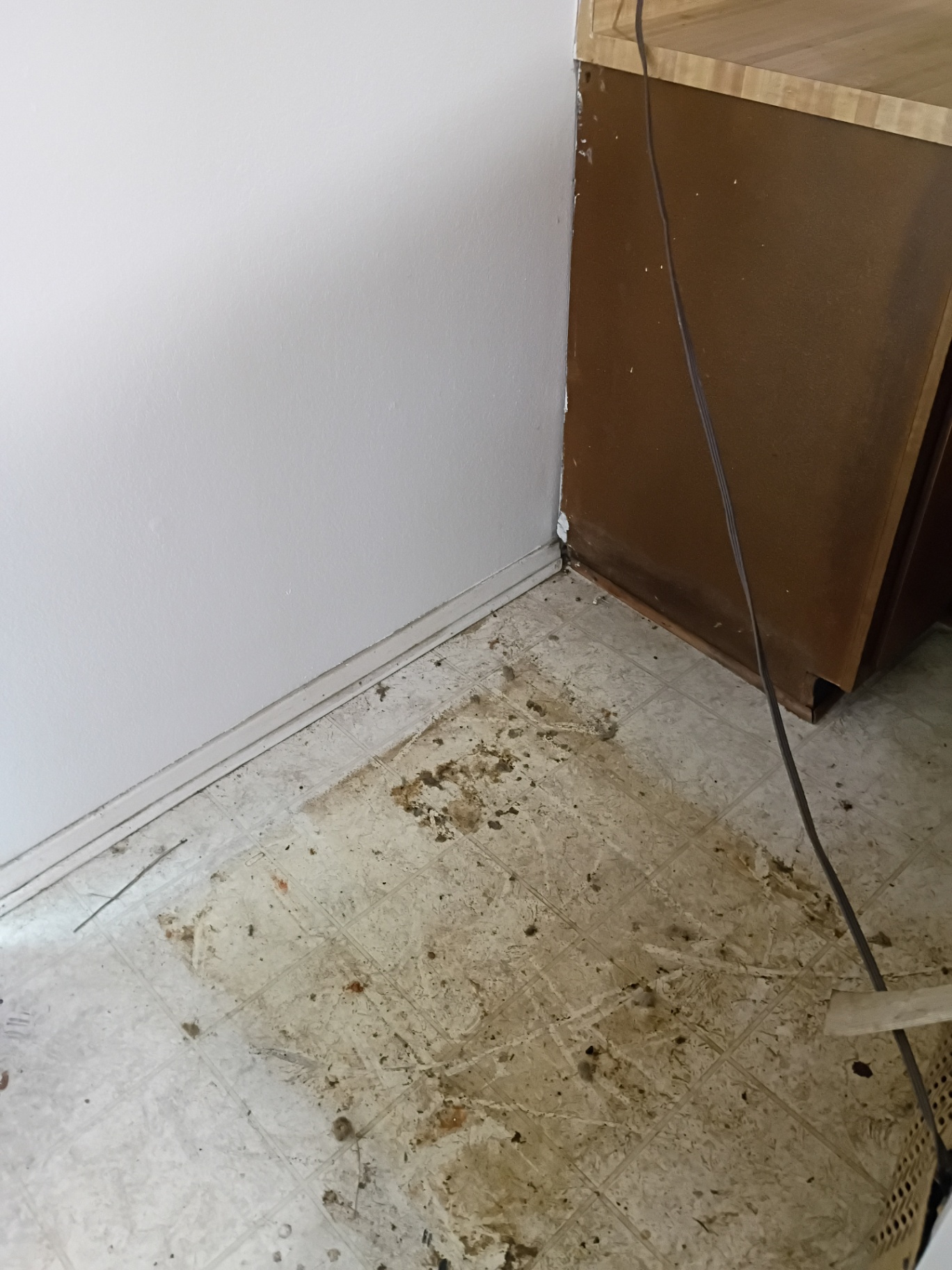 Kitchen floor & baseboards before cleaning by Nelly Cleaning Service